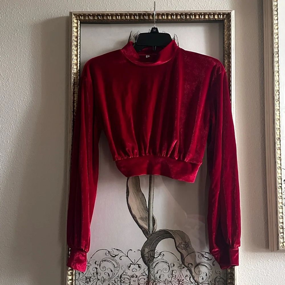 Velvet Red CropTop - Picture 1 of 3